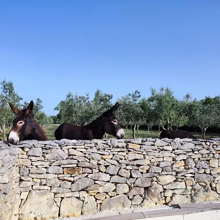 Respira Σπίτι διακοπών *